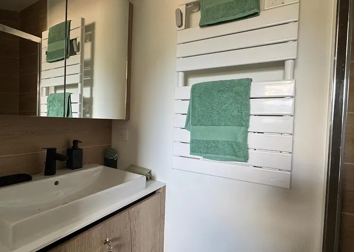 Superbe T2 Renove, Climatise, Parking, Balcon - Vue Et Montagnes - Fr-1-555-116